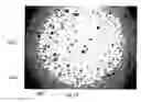 Fig. 22 - Devices and methods for programmable microscale manipulation of fluids