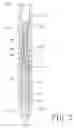 Fig. 04 - Well downhole liquid dispenser