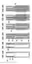 Fig. 11 - Techniques and systems associated with perforation and the installation of downhole tools