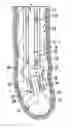 Fig. 01 - Steerable drilling system
