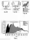 Fig. 04 - Halogenated solvent remediation