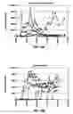 Fig. 12 - Halogenated solvent remediation