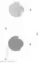 Fig. 08 - Identification document with three dimensional image of bearer