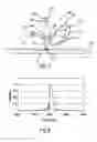 Fig. 06 - Element-specific X-ray fluorescence microscope and method of operation