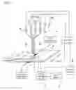 Fig. 02 - Method and system for machining fragile material