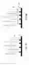 Fig. 05 - Liquid crystal panel and manufacturing method therefor