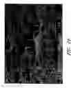 Fig. 19 - High-efficiency radiating device