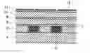 Fig. 01 - Semiconductor multilayer wiring board and method of forming the same