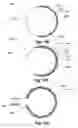 Fig. 30 - Method for making a sintered superhard prosthetic joint component