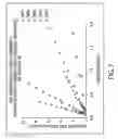 Fig. 06 - Gas delivery substrate