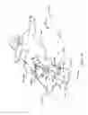 Fig. 04 - Articulated-severable snowboard also useable as emergency snowshoes