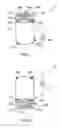 Fig. 03 - Electromagnetic actuator and portable device having the same