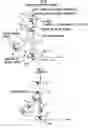 Fig. 10 - Controller of legged mobile robot
