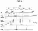 Fig. 05 - Systems and methods for generating a magnetic resonance image based on a difference between a plurality of signals