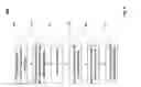 Fig. 09 - Mechanical reinforcement structure for fuses