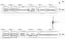 Fig. 01 - Method to efficiently generate the row and column index for half rate interleaver in GSM