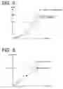 Fig. 05 - Display device