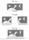 Fig. 13 - Multi-projection display