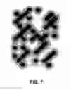 Fig. 08 - Detecting printed image copies using phase-space-encoded fragile watermark