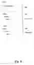 Fig. 10 - Incremental rendering