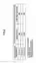 Fig. 05 - Spatial light modulator and display device
