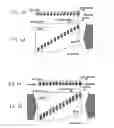Fig. 05 - Confocal microscopy arrangement without beam splitter