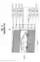 Fig. 04 - Backlight unit of liquid crystal display device and method for driving the same