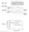 Fig. 04 - Optical disk medium and optical disk recording/reproducing apparatus utilizing tilt detection areas having special marks