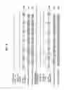 Fig. 09 - Apparatus and method for processing video signals