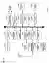 Fig. 26 - Image signal processing method, image signal processing device, image signal processing program and integrated circuit device