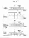 Fig. 08 - Transmitting method and transmitting apparatus