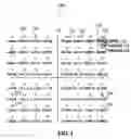 Fig. 02 - Method to minimize compatibility error in hierarchical modulation
