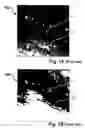 Fig. 02 - Cloud cover assessment: VNIR-SWIR