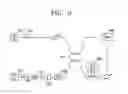 Fig. 05 - Dispersion-shifted fiber for optical parametric amplifier