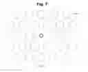 Fig. 08 - Composite material photonic crystal fibres, method of production and its use