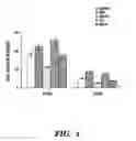 Fig. 05 - Methods for inhibiting vascular permeability