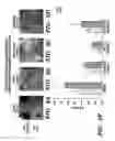 Fig. 08 - Methods for inhibiting vascular permeability