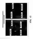 Fig. 13 - Methods for inhibiting vascular permeability