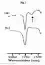 Fig. 02 - Conjugate of biodegradable aliphatic polyester with TAT 49-57 peptide or peptide chain containing TAT 49-57 peptide and nanoparticle manufactured using the same