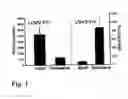 Fig. 02 - Methods for producing and using in vivo pseudotyped retroviruses using envelope glycoproteins from lymphocytic choriomeningitis virus (LCMV)