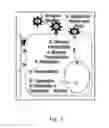 Fig. 02 - Pseudotyped viruses and methods for their use