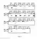 Fig. 22 - Pseudotyped viruses and methods for their use