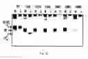 Fig. 23 - Pseudotyped viruses and methods for their use
