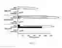 Fig. 30 - Pseudotyped viruses and methods for their use