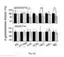 Fig. 35 - Pseudotyped viruses and methods for their use