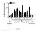 Fig. 41 - Pseudotyped viruses and methods for their use