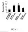 Fig. 07 - Methods of treating restenosis