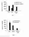 Fig. 02 - Promoters exhibiting endothelial cell specificity and methods of using same