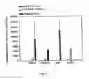 Fig. 09 - Promoters exhibiting endothelial cell specificity and methods of using same