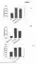 Fig. 40 - Promoters exhibiting endothelial cell specificity and methods of using same